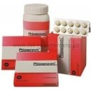 Wobenzym alternativní produkt Phlogenzym 90 mg/48 mg/100 mg tbl.flm.200